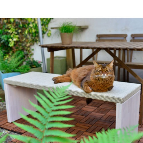 RESERVED Scratching Bench